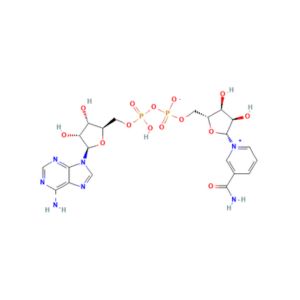 NAD+ Structure